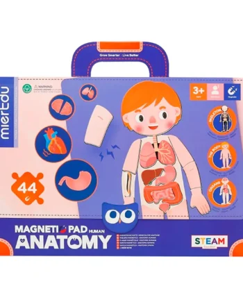 Mieredu Magnetisk Legetavle Min Krop