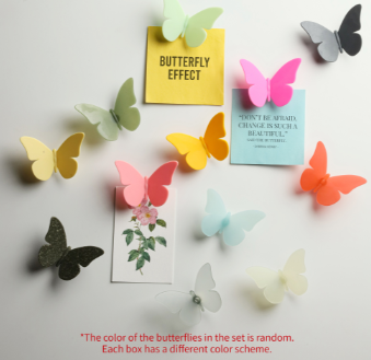 Qualy Butterfly Magnet  Mix