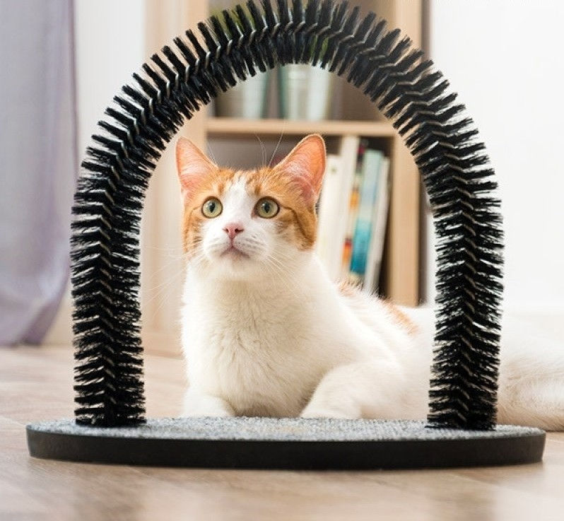 Kradsetræ Og Bue Massager Til Katte