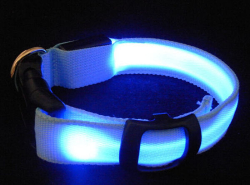 Led Hunde Kattehalsbånd