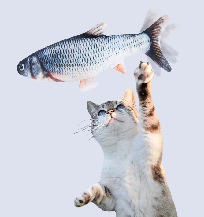 Sprællende  Legefisk  Til  Katte